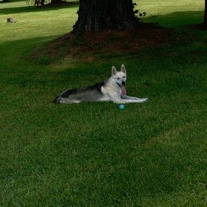 Meet your Posher, Cameron